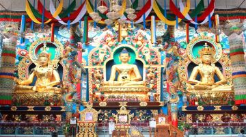 8 Days Bangalore, Mysore, Ooty and Wayand Shopping Trip Package