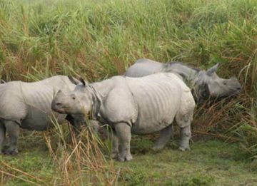 7 Days 6 Nights Guwahati to Cherrapunjee Hill Holiday Package