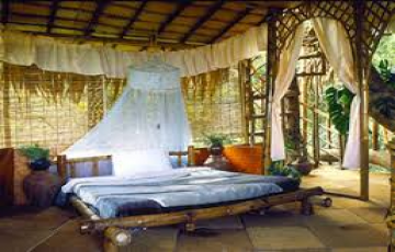 Wayanad Tree House Package