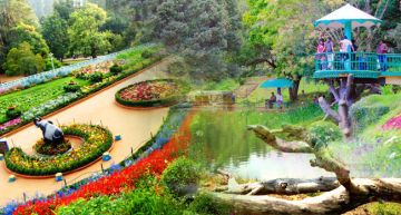 Beautiful 2 Days 1 Night ooty Honeymoon Trip Package