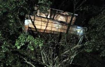 Wayanad Tree House Package