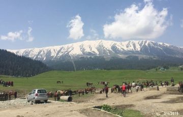 Tour Package for 6 Days 5 Nights from Jammu and Kashmir