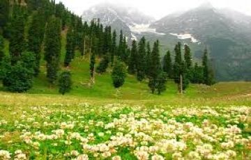 Tour Package for 6 Days 5 Nights from Jammu and Kashmir