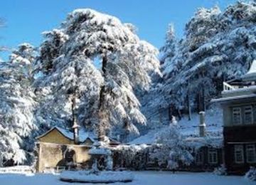 Amazing 7 Days 6 Nights Kashmir Luxury Vacation Package