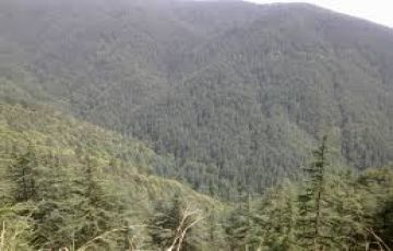 Pleasurable 6 Days Delhi to Shimla Romantic Tour Package