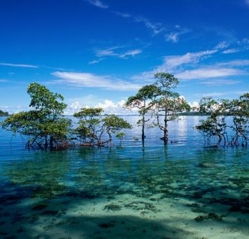 Best Havelock Island Tour Package for 4 Days