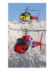 9 Days 8 Nights Haridwar- Barkot - Yamunotri - Uttarkasi - Gangotri - Rudra Prayag - Guptakasi - Kedarnath - Five Prayag - Badrinath Trip Package