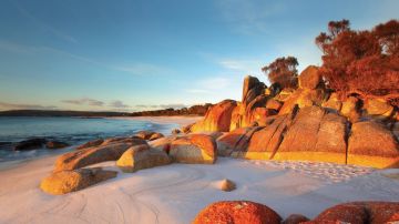 Experience 6 Days 5 Nights Washington Trip Package