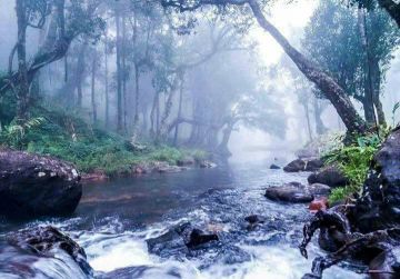 Pleasurable 3 Days Munnar Culture Heritage Trip Package