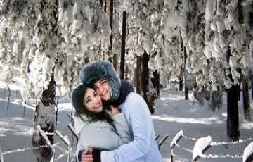 6 Days 5 Nights Kullu, Manali, Naggar and Solang Monastery Trip Package