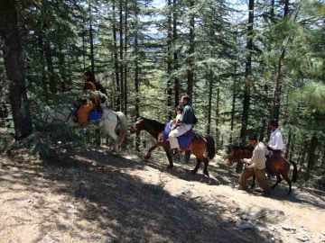 9 Days Shimla, Manali, Dharamshala with Dalhousie Honeymoon Tour Package