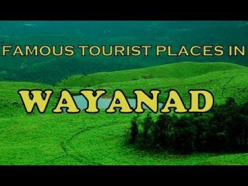 Beautiful Wayanad Honeymoon Tour Package for 3 Days