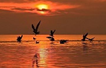 Pleasurable 10 Days Cochin Holiday Package