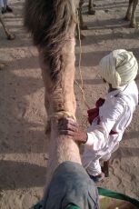 10 Days 9 Nights Delhi to Mandawa Vacation Package