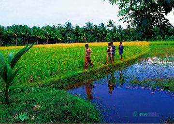 Experience Kerala Honeymoon Tour Package for 2 Days