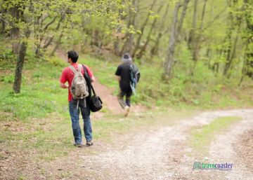 Family Getaway 2 Days Delhi to Goa Tour Package