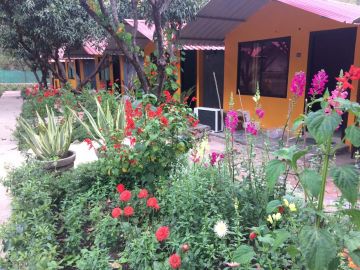 Magical 2 Days 1 Night Rishikesh Trip Package