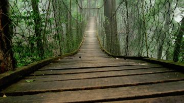 SIKKIM SILK ROUTE WITH NEORA VALLEY