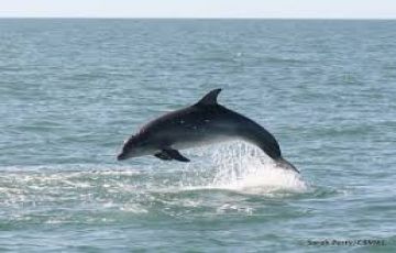 Best Beaches in Goa Package 4N/5D