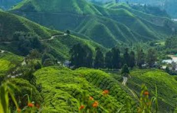 Pleasurable 7 Days 6 Nights Sentosa Holiday Package