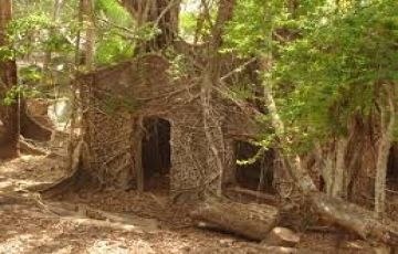 5 Days 4 Nights Port Blair and Andaman Vacation Package