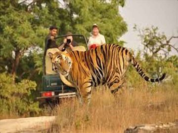 Heart-warming 3 Days Jaipur to Ranthambhore Hill Stations Tour Package
