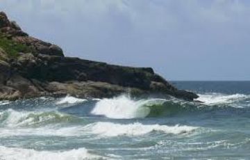 6 Days 5 Nights Munnar, Alleppey with Kovalam Vacation Package