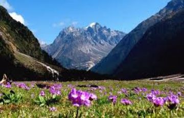 Heart-warming 5 Days Siliguri to Sikkim Tour Package