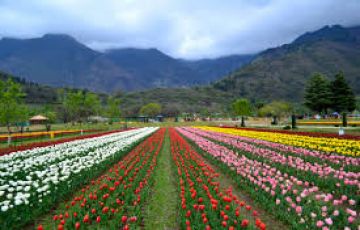 Beautiful Kashmir Tour Package for 7 Days 6 Nights