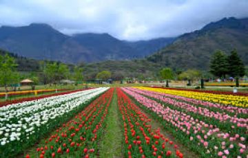Beautiful 4 Days Leh Trip Package