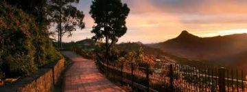 Ecstatic 7 Days Coimbatore to Kodaikanal Holiday Package