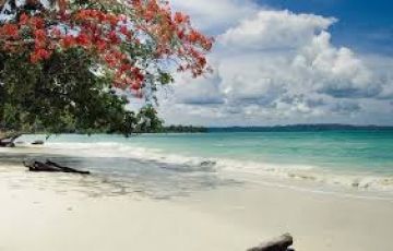 5 Days 4 Nights Port Blair and Andaman Vacation Package