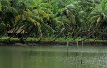 Grand Kerala  9 Night / 10 Days