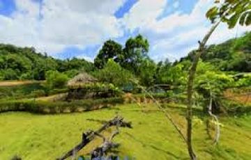 6 Days 5 Nights Kochi, Munnar, Thekkady and Alleppy Trip Package