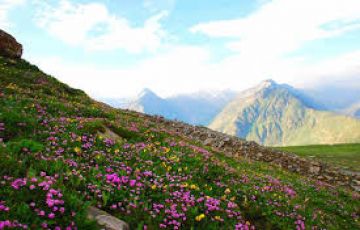 7 Days 6 Nights Delhi to Sangla Family Trip Package