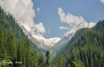 4 Days 3 Nights Kasol Hill Vacation Package