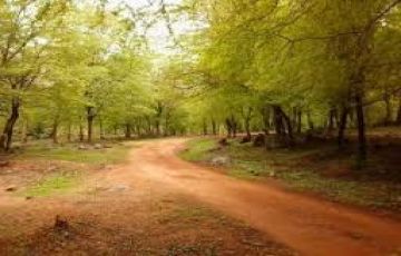 7 Days 6 Nights Jabalpur, Kanha Park, Bandhvgarh Park with Panna Offbeat Trip Package