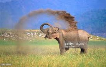 Ecstatic 7 Days 6 Nights Ramnagar Culture Trip Package