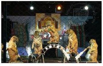 Best Thailand Tour Package @ Rs.10000