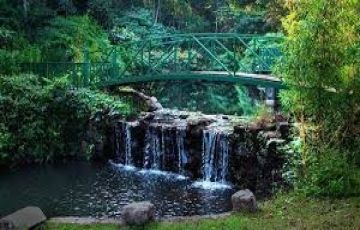Pleasurable 5 Days 4 Nights Madikeri Vacation Package