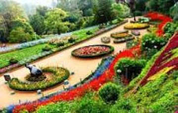 Beautiful 2 Days 1 Night ooty Honeymoon Trip Package