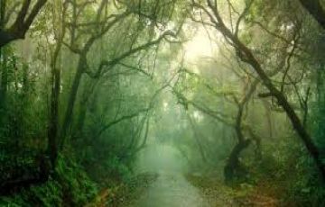 Amazing 3 Days 2 Nights Mumbai Weekend Getaways Trip Package