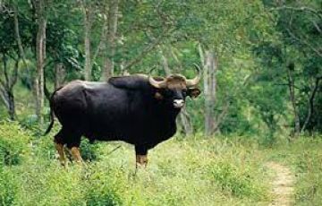 Experience Kolkata Tour Package for 7 Days 6 Nights