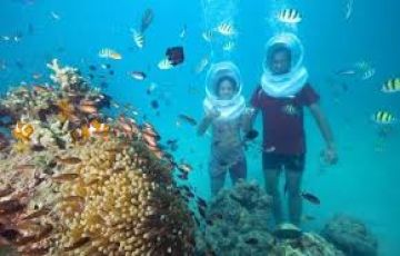 6 Days 5 Nights Port Blair and Havelock Nature Vacation Package