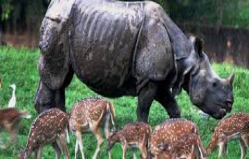 Magical 8 Days 7 Nights KUFRI ZOO, ADVANCE STUDY, GREEN VALLEY with SANKAT MORCHEN Water Activities Vacation Package