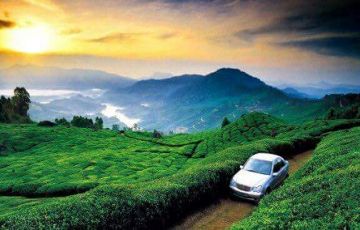 Family Getaway 7 Days 6 Nights Munnar, Thekkady, Alleppey and Kovalam Vacation Package