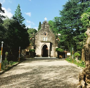 Heart-warming 4 Days Lansdowne Wildlife Holiday Package