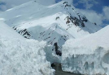 Experience Himachal Honeymoon Tour Package for 4 Days