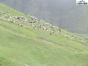 2 Days 1 Night Manali to Gulaba Romantic Vacation Package