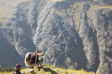 2 Days 1 Night Manali to Gulaba Romantic Vacation Package